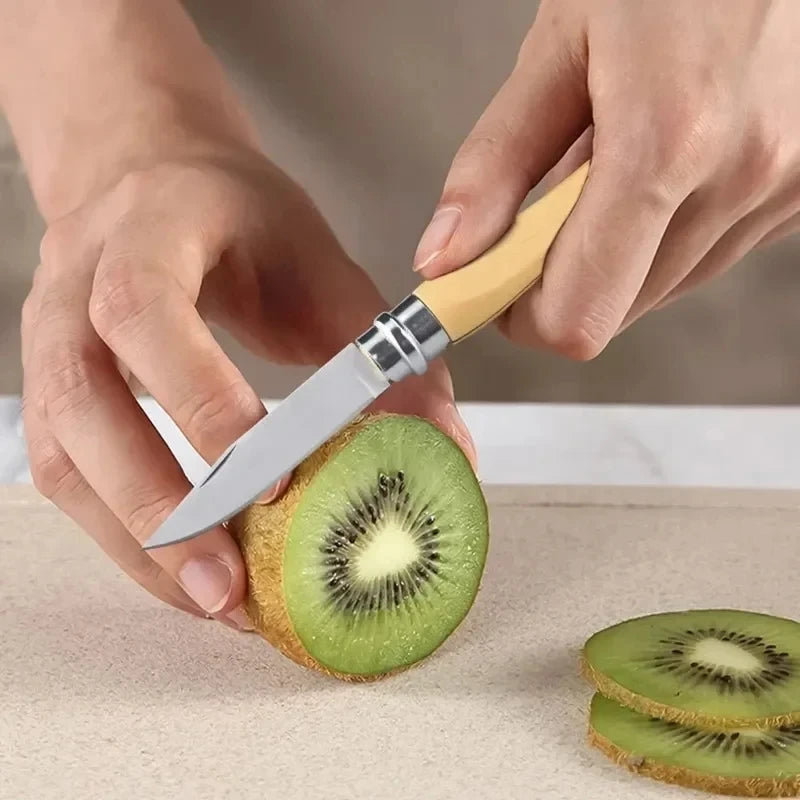 Stainless steel portable fruit knife