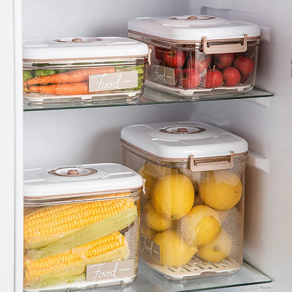 Vacuum food storage box