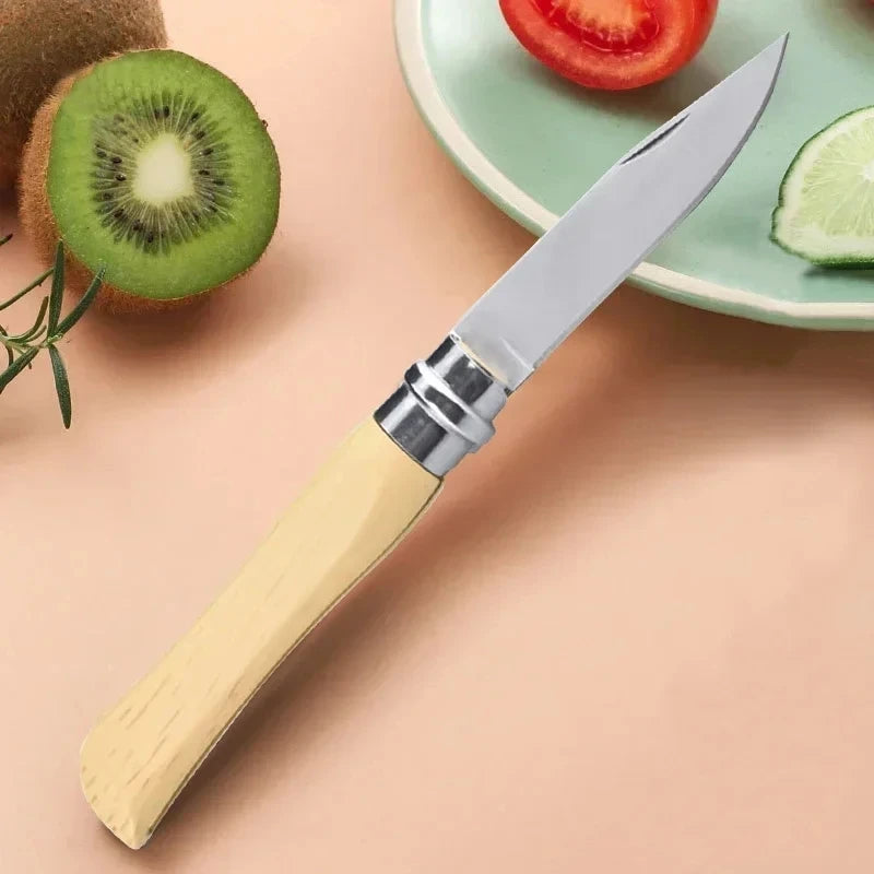 Stainless steel portable fruit knife