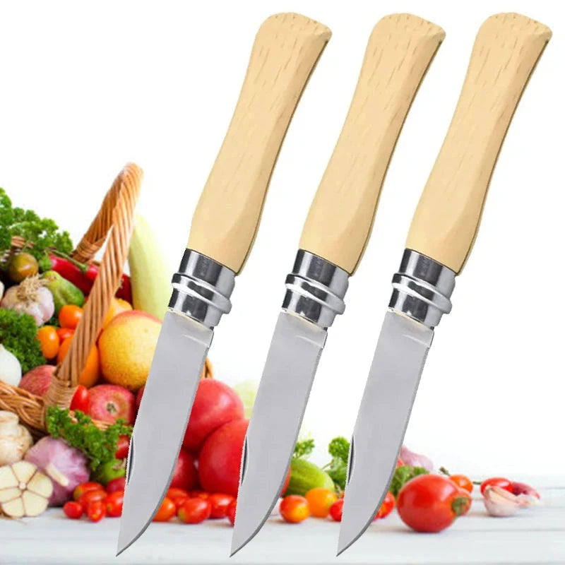 Stainless steel portable fruit knife